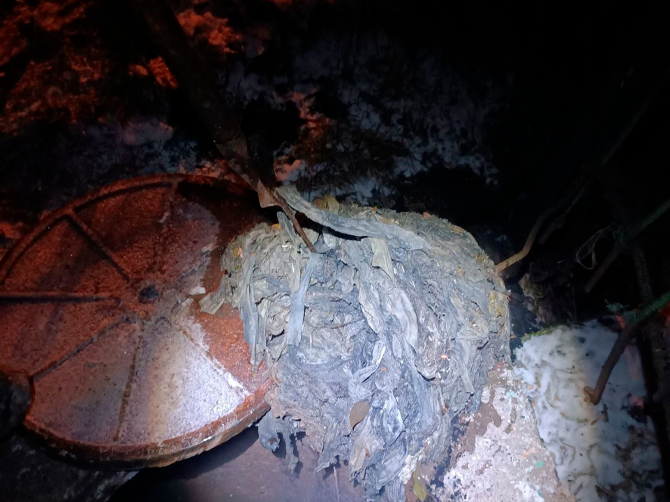 Как влажные салфетки и кошачий наполнитель в унитазе обернулись загрязнением Клязьмы