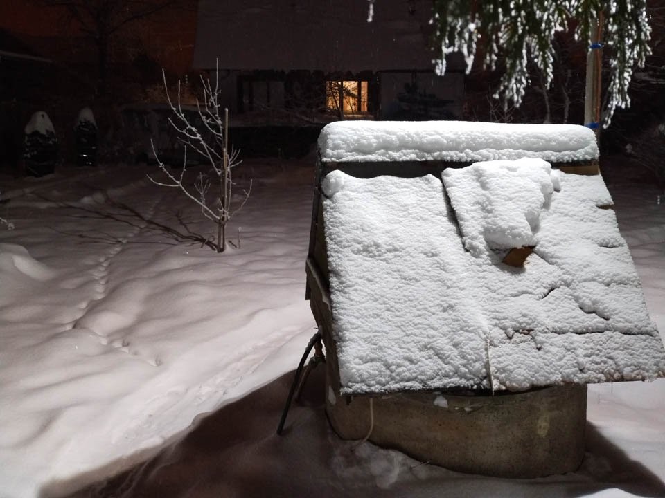 «Фантастика какая-то»: почему суперснегопад в Подмосковье отменили