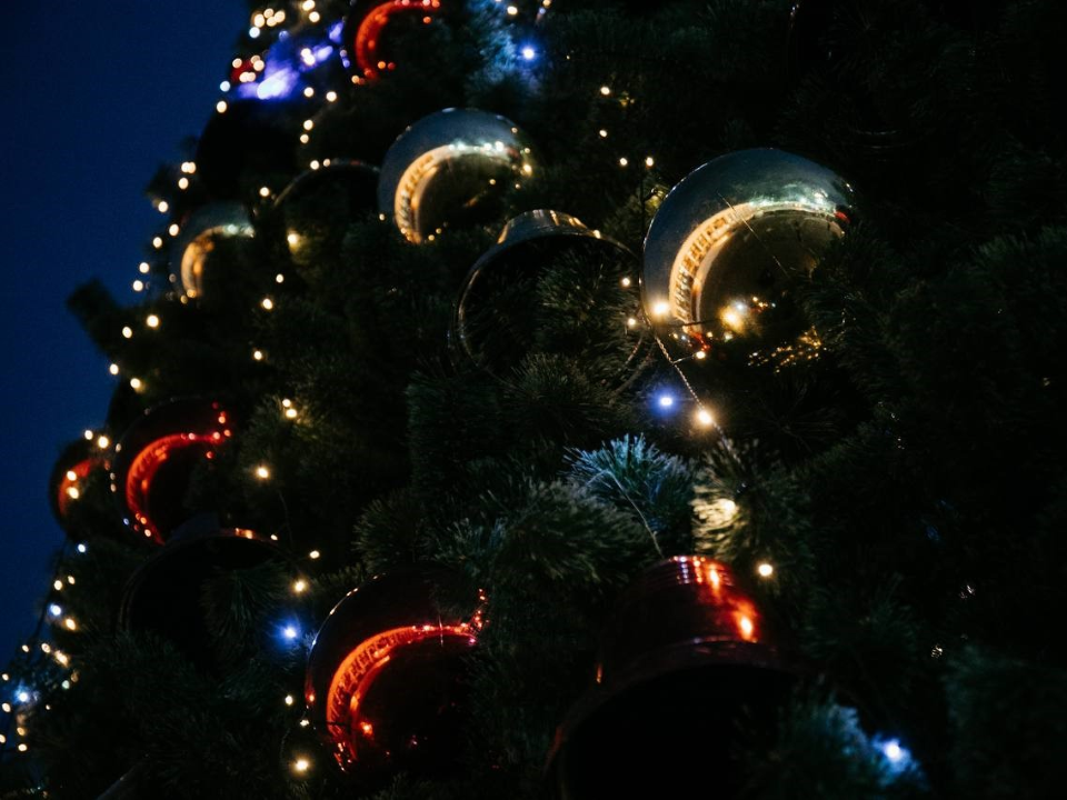 Астролог из Чехова назвал дни, когда лучше наряжать новогоднюю елку