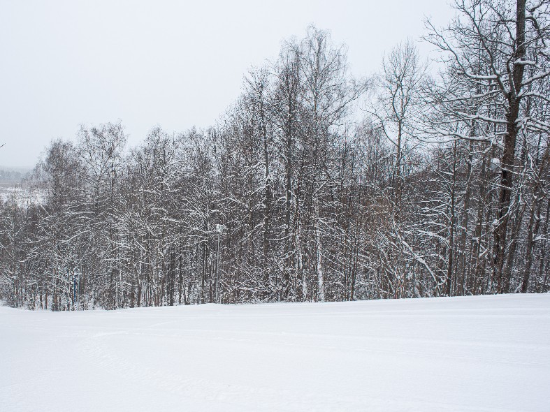 До 14 претендентов на участок: почему земельные торги в Подмосковье стали такими горячими и где искать выгодные лоты