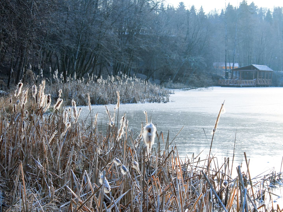 Жесткие морозы и проливные дожди? Как изменится погода в Подмосковье с 7 декабря
