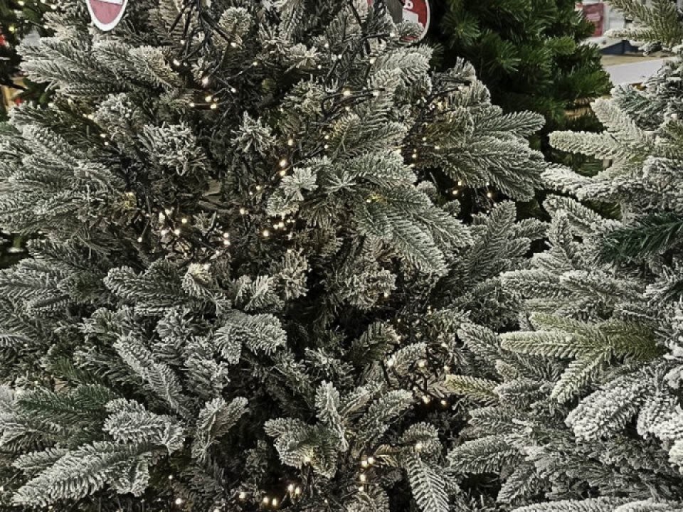 В декабре стартует Всероссийский конкурс «Елки России»