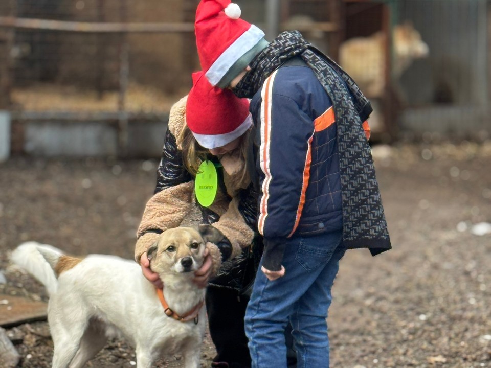 Щелковские школьники подарили тепло и заботу питомцам приюта