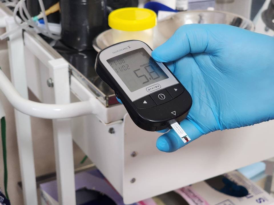 В Подольской больнице научили управлять диабетом более 1600 пациентов