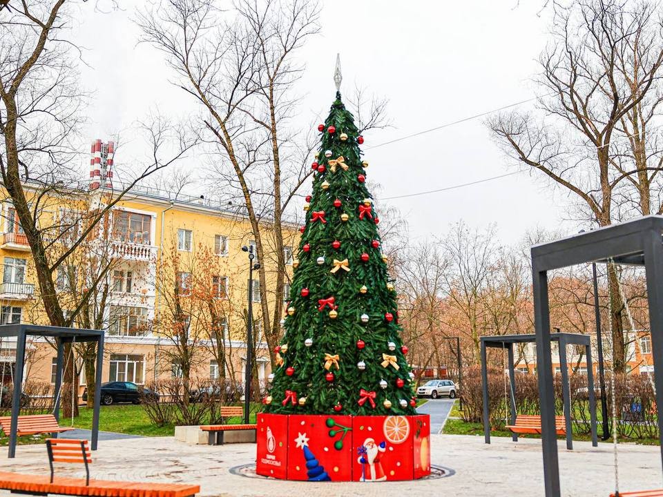 Новогоднюю ель украсили желтыми и красными бантами на городской аллее Ветеранов