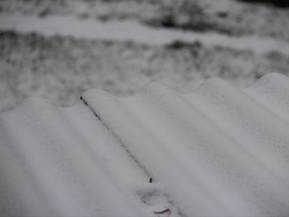 «Наконец-то»: жители Подмосковья обрадовались началу снежной зимы