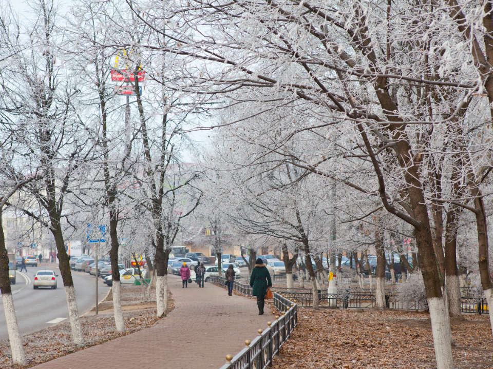 Погода в Центральной России резко сменила курс: надолго ли морозы?