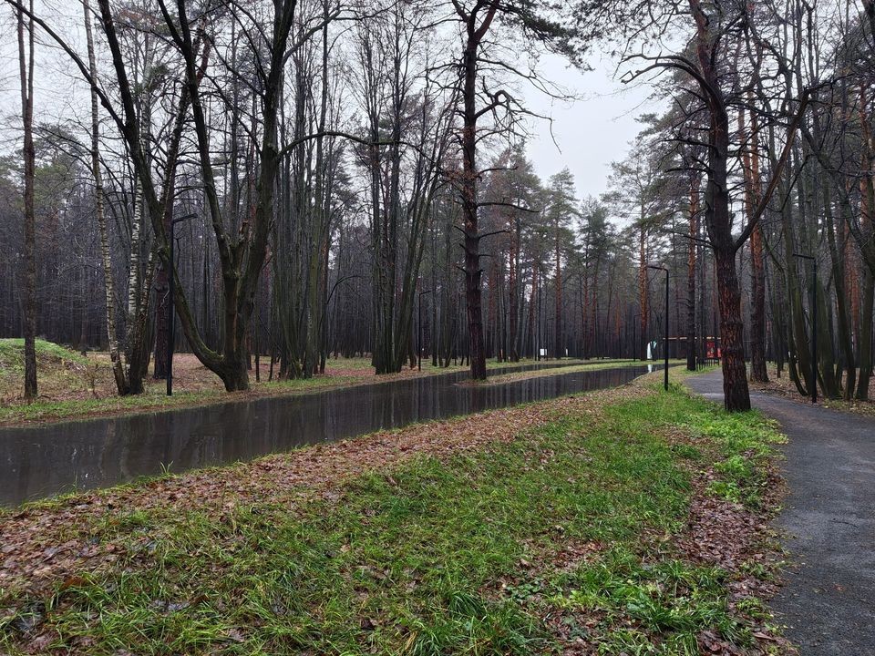 Без снега и дождя: что произойдет с погодой в Московском регионе