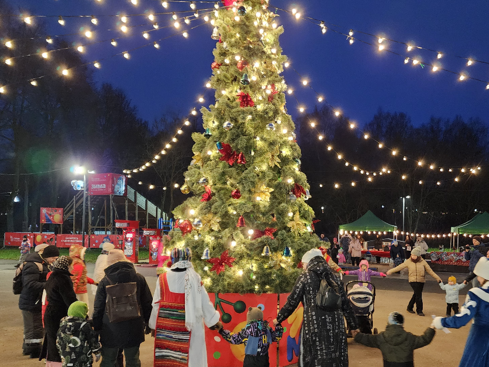 Предновогоднюю дискотеку устроили во Фрязинском лесопарке