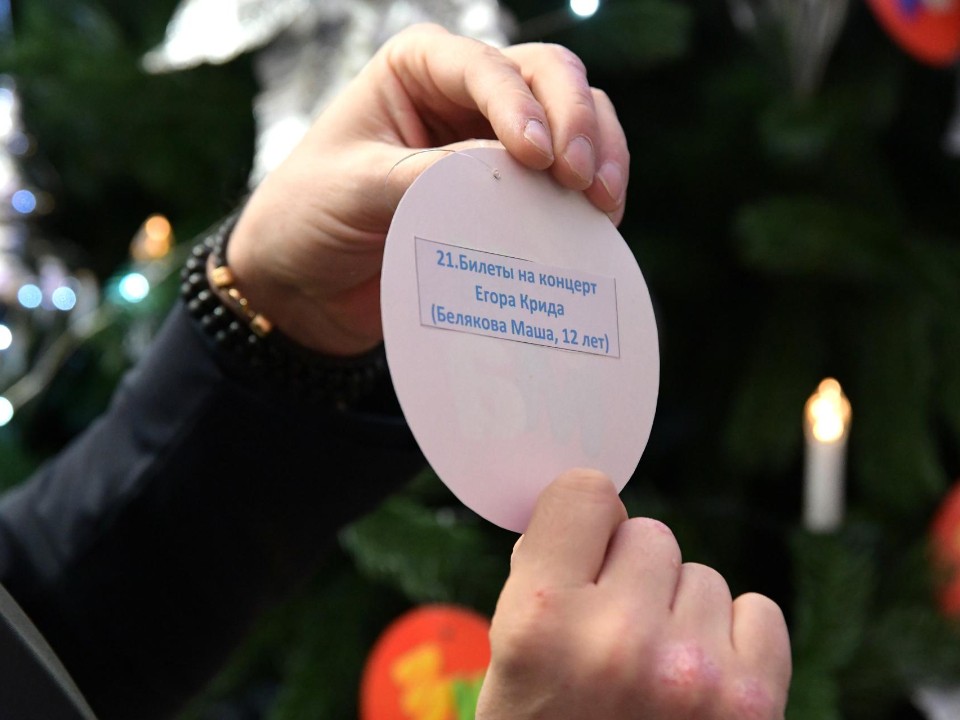 «Елка желаний» в Дмитрове: все 123 детских мечты нашли своих исполнителей