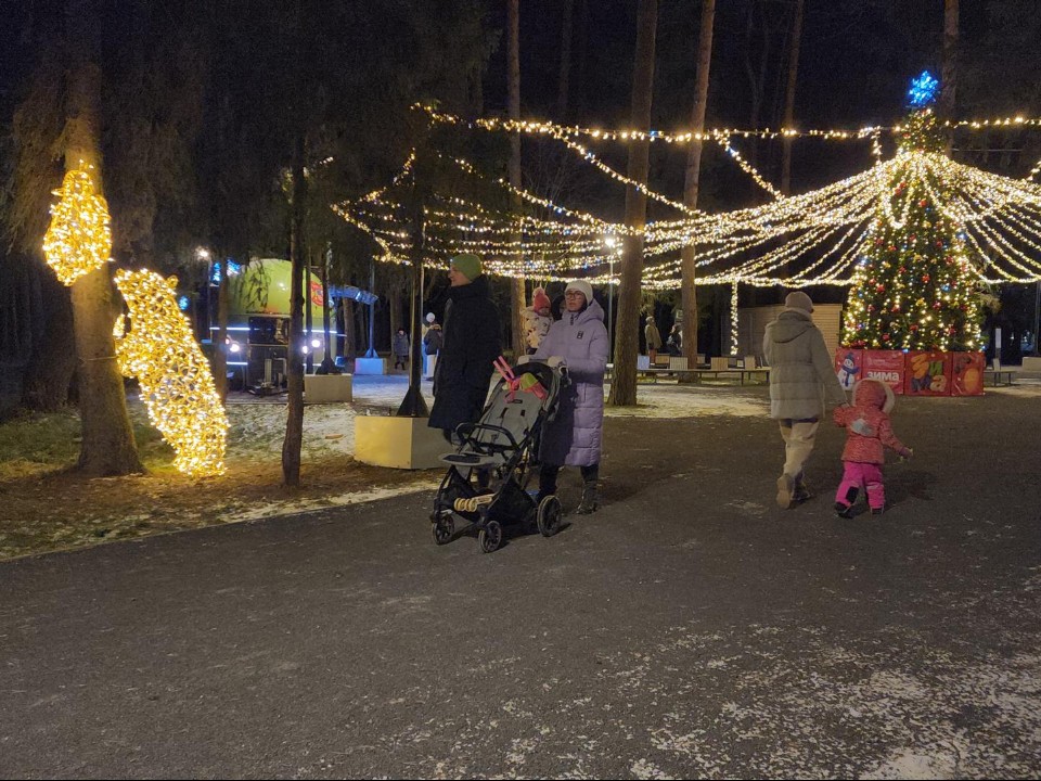 Письма Деду Морозу, конфеты и хороводы: как «Шишкин лес» устроил новогодний драйв