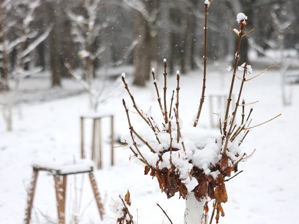 Подмосковью грозит барическая яма! Что почувствуют метеозависимые от скачков атмосферного давления