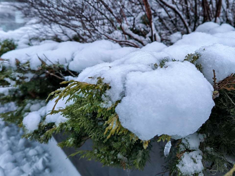 Каким будет финал декабря в Подмосковье? Циклон принесет морозы до -15° и растущие сугробы до 20 см