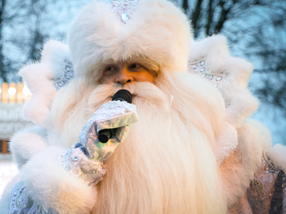 Сколько стоит чудо: цены на вызов Деда Мороза и Снегурочки в Черноголовке