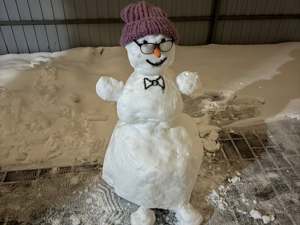 Снежная фантазия: в Солнечногорске жители делятся фото снеговиков