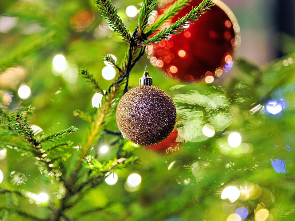 Под бой курантов: омбудсмен Мишонова поделилась кадрами въезда подмосковной елки в Кремль