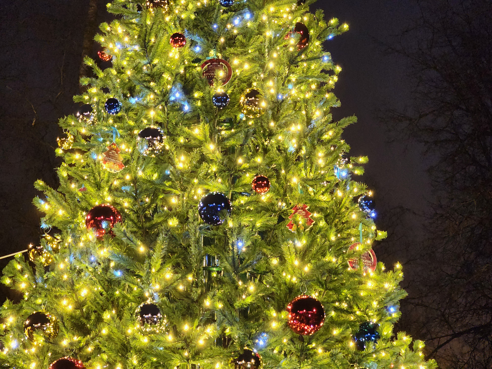 Интерактивы, ярмарка и приключения запланированы для лотошинцев на 28 декабря