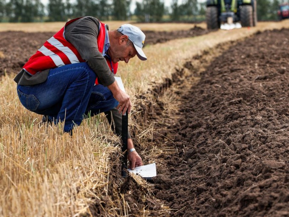 Смешал удобрения — погубил урожай: агроном назвал опасные сочетания