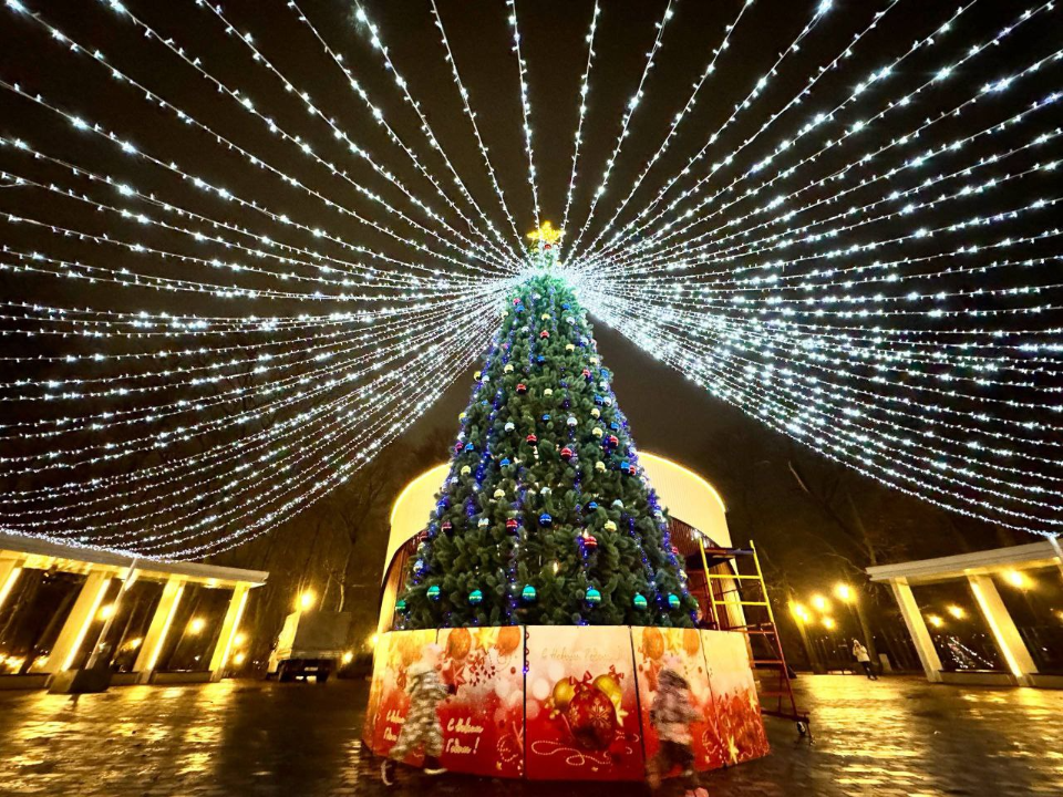 Какая новогодняя красавица Подольска может претендовать на статус «Елки России»