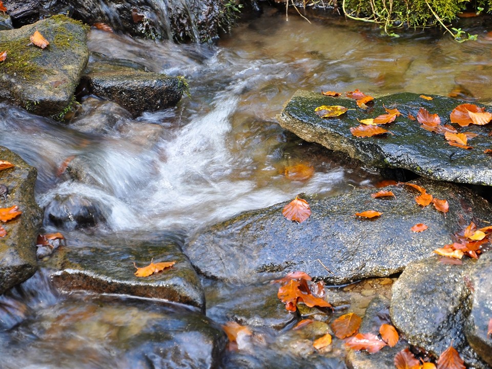 Краеведы Павловского Посада разгадали тайну гидронима «Попов ручей»
