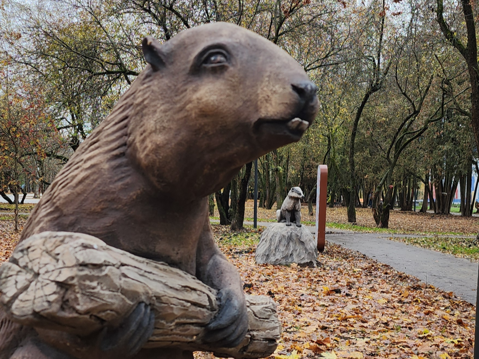 В Ботове решили проблему, которую создали бобры, подтопив участки