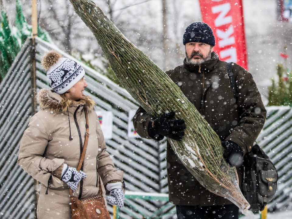 На интерактивной карте можно выбрать ближайший елочный базар