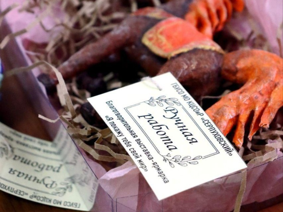 Аукцион добра: как в Серпухове собрали ₽50 тыс. на творчестве особенных людей