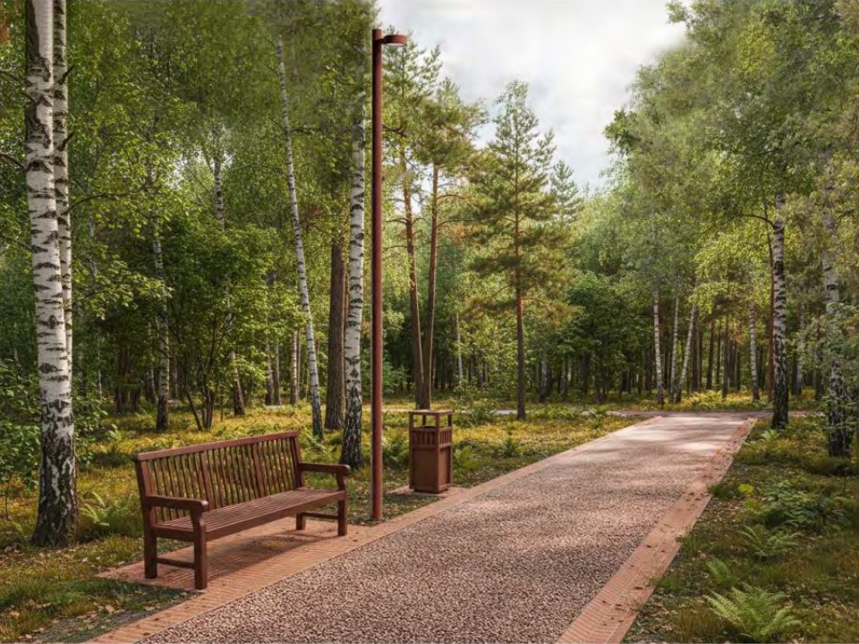 Дорожки и пирс среди леса: в Солнечногорске показали проект лесопарка у усадьбы Татищева