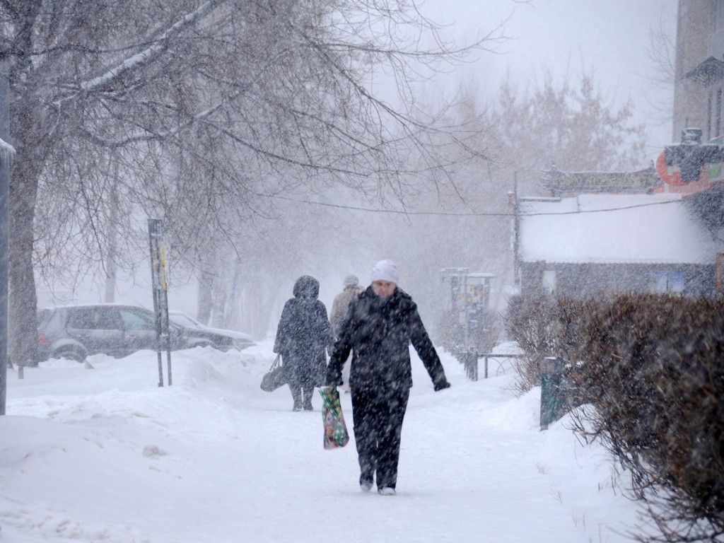 Гололед и метель: Подмосковье ждет погодный экстрим 26 декабря