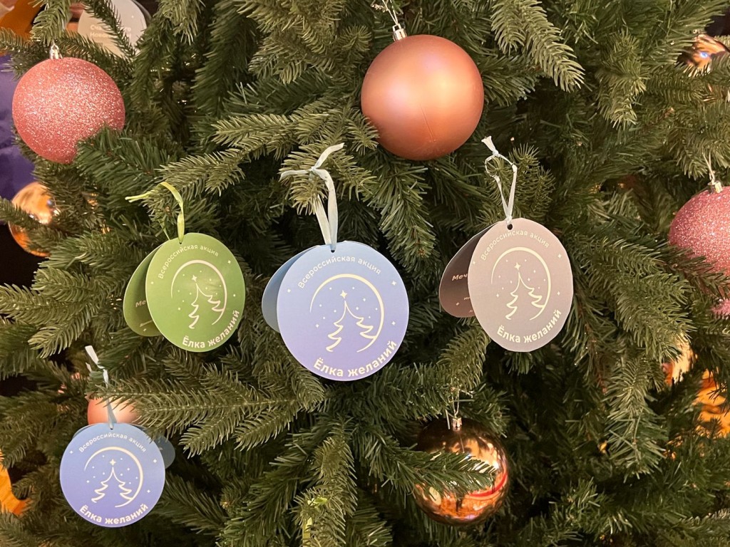 Стань новогодним волшебником: в Дмитровском округе стартовала «Елка желаний»