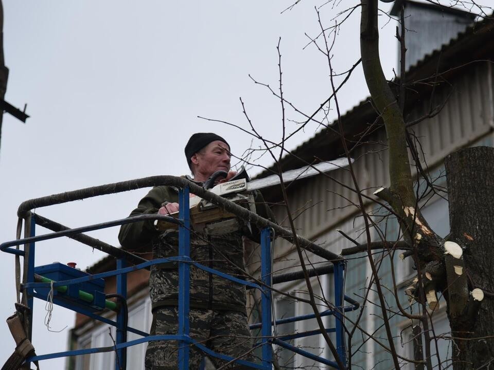 Лотошинские коммунальщики спилили ветки деревьев в Ушакове