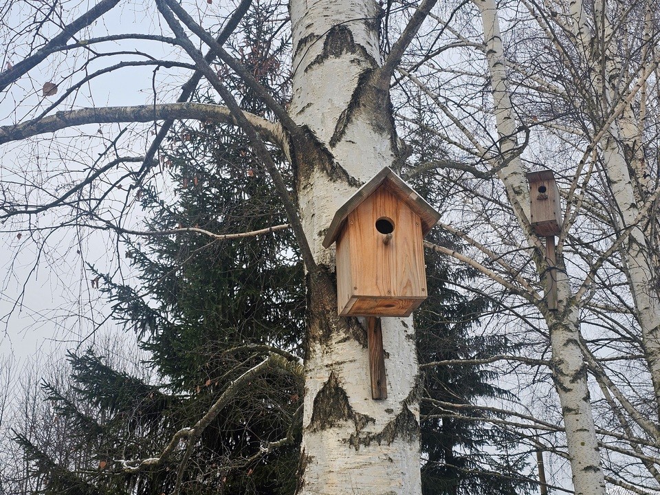 В Подмосковье вернется теплая погода, но только на один день. Когда это случится?