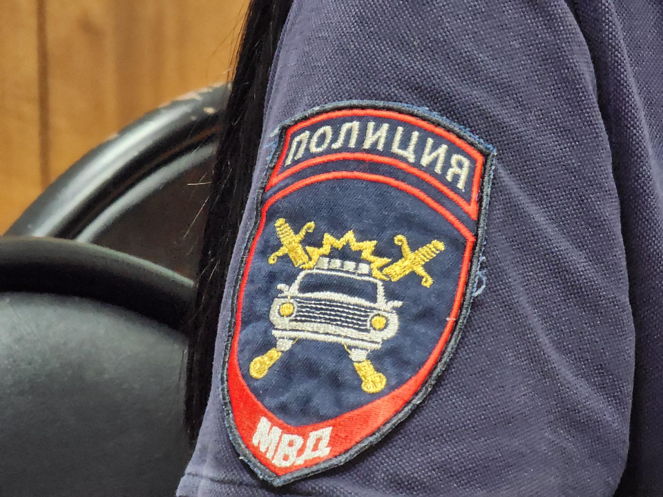 Электростальские полицейские по горячим следам раскрыли несколько краж