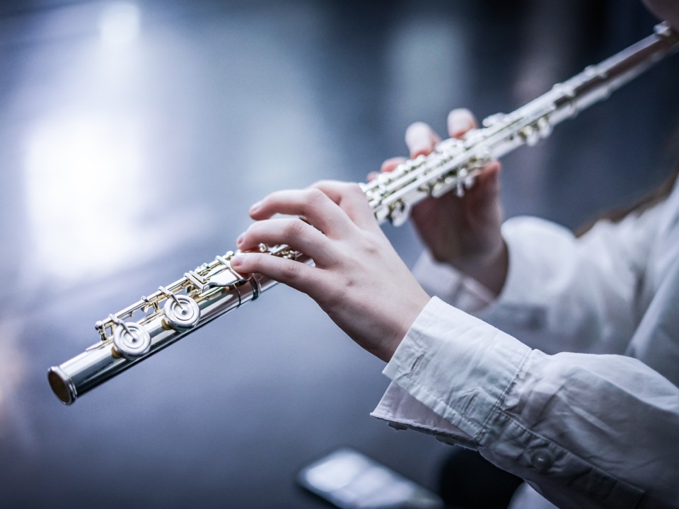 Как музыканты из Дмитрова выступили на областном зональном конкурсе