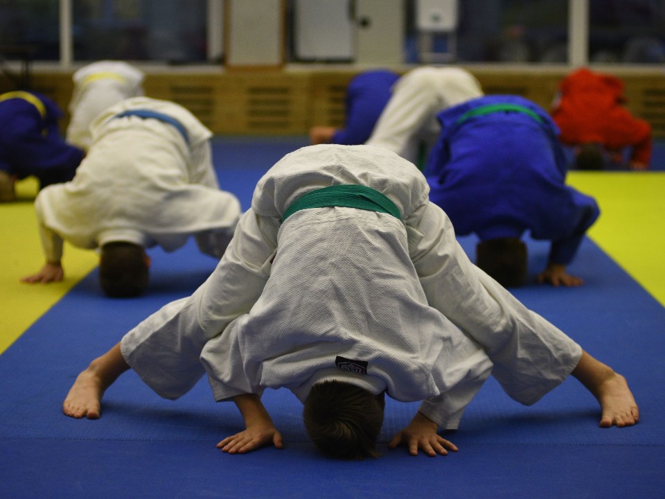 Спортивные приемы: для молодогвардейцев Люберец прошел мастер-класс по самбо