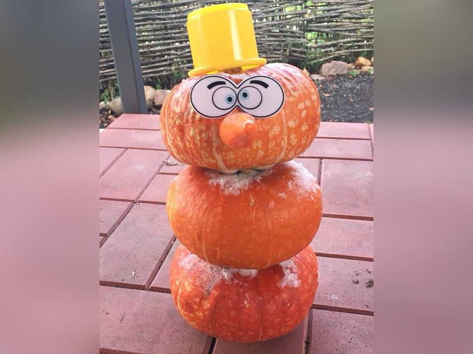 Включить фантазию: снеговика из тыквы «слепили» в Солнечногорске