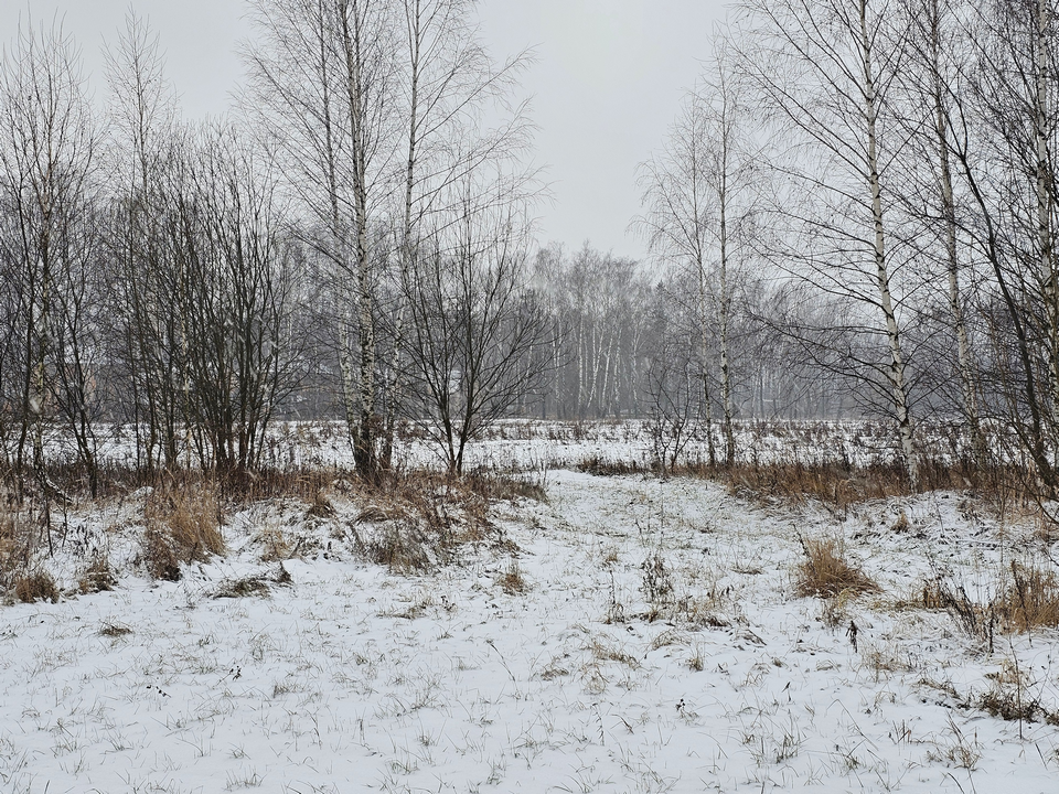 В Луховицах готовят участок под строительство спортивного комплекса