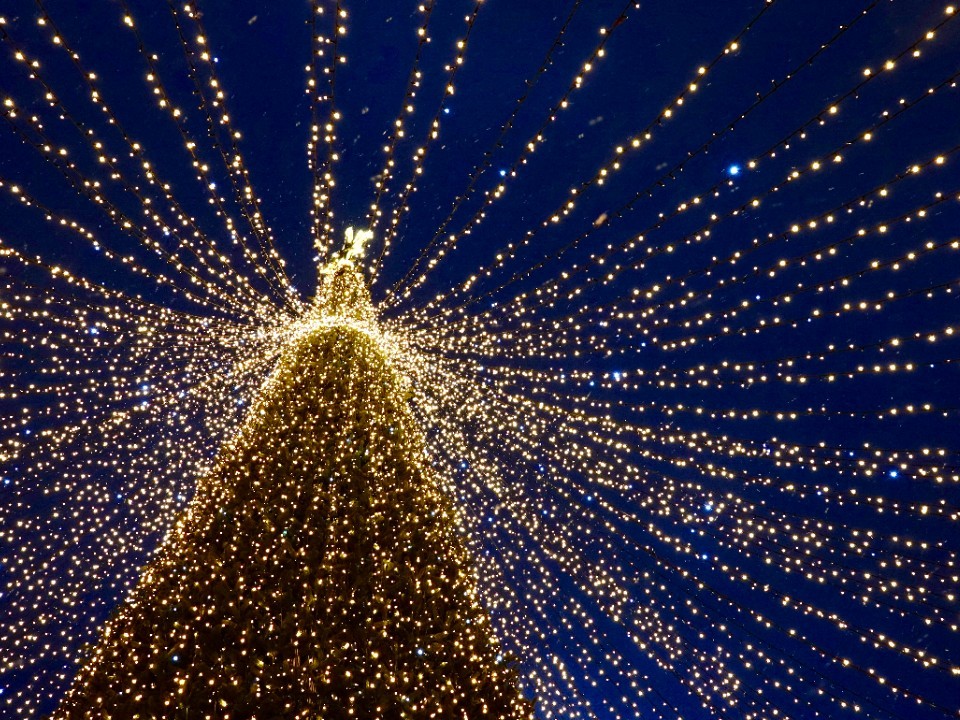 Зажжение елки и встреча с Дедом Морозом: что посетить 14 декабря в Сергиевом Посаде