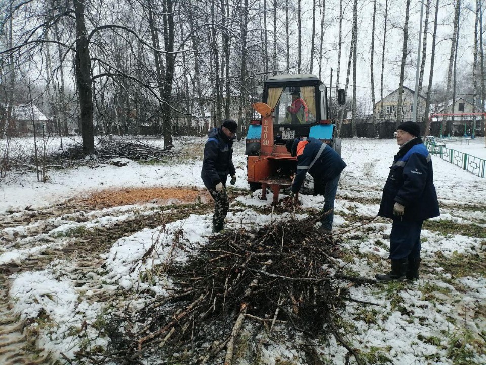 В Истре «прочистили» зеленые зоны от опасных деревьев