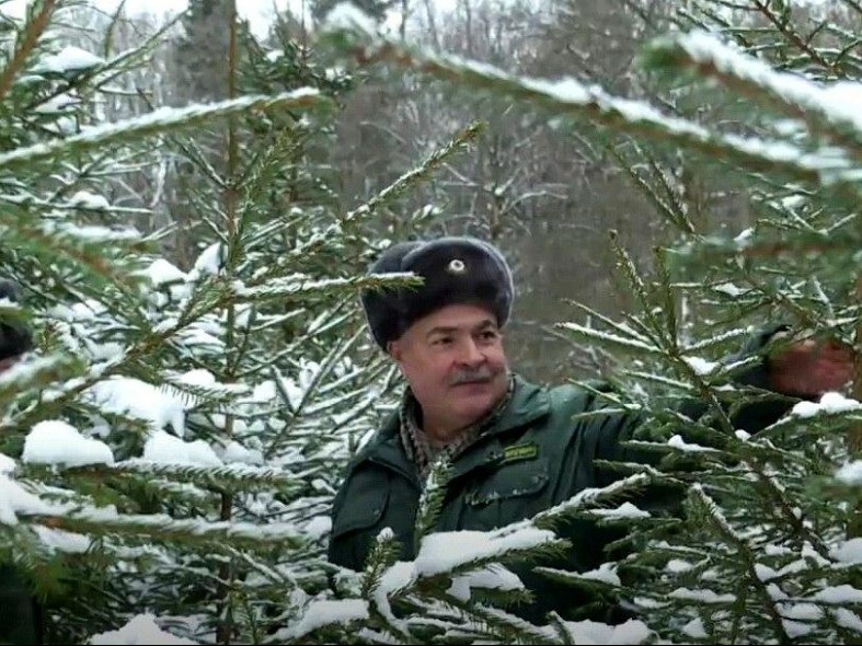 Семейная традиция с топором: в каких хозяйствах Подмосковья разрешили самим рубить елки и кто осуществляет надзор