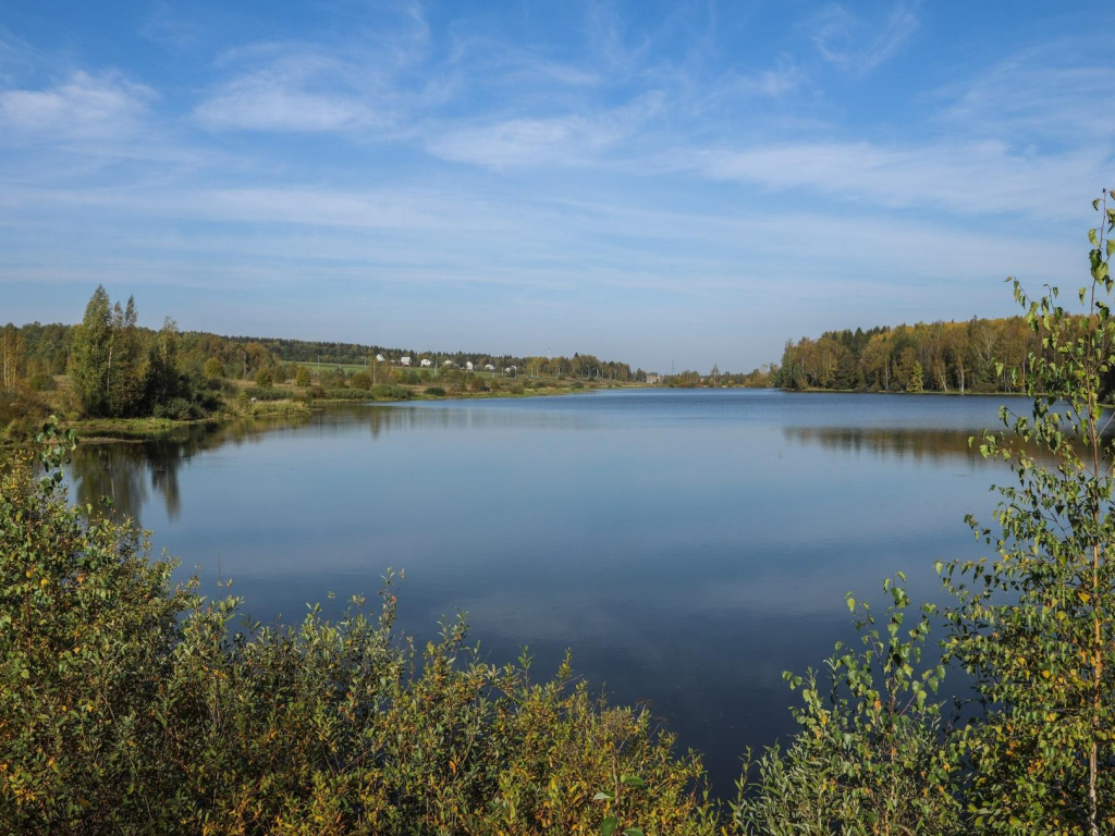 Пруд на реке Березовка в Наро-Фоминске стал самым популярным у жителей Подмосковья
