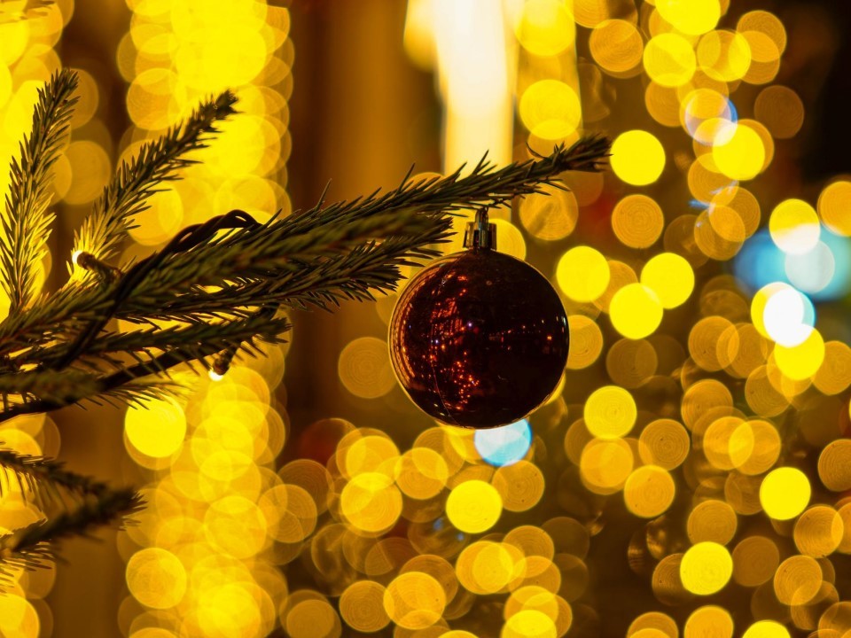 Когда Дед Мороз приезжает в деревню: новогодняя программа в «Буренкино Царство» — что в афише