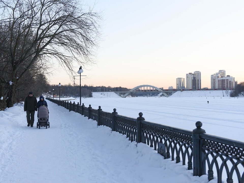 Морозы ударят в Подмосковье в выходные. Синоптик Тишковец дал точный прогноз