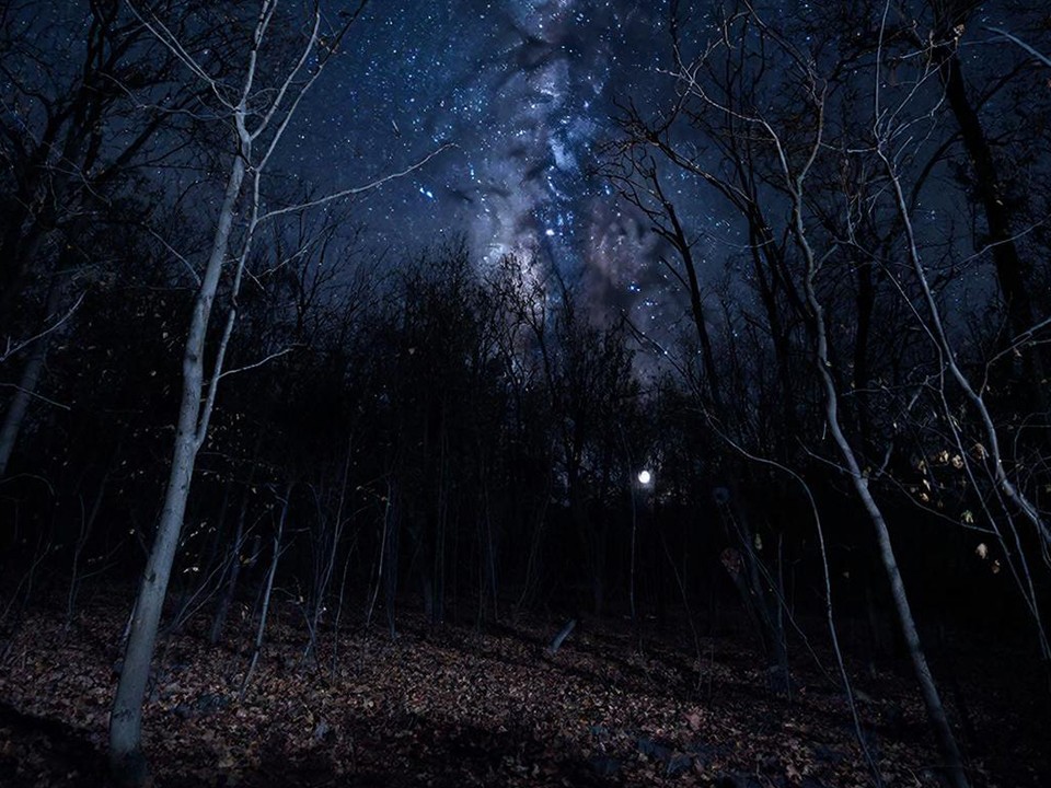 Какой народный праздник отмечают 12 декабря 2025: что можно и нельзя делать на Парамона Зимоуказателя