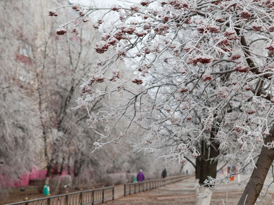 Московский регион встретит 23 декабря без осадков, но с морозом