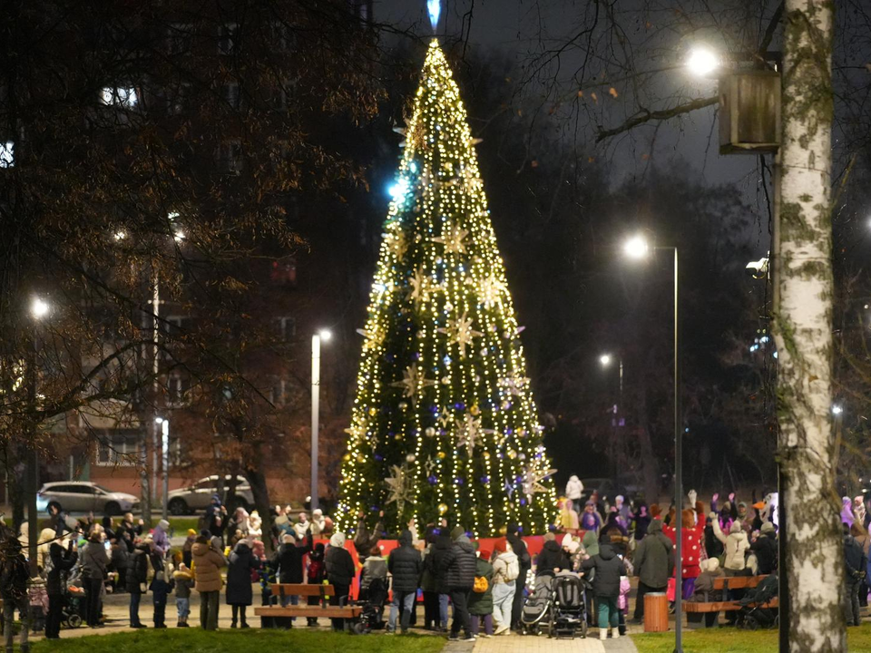 «Елочка, гори!»: как в Дзержинском дали старт проекту «Зима в Подмосковье»