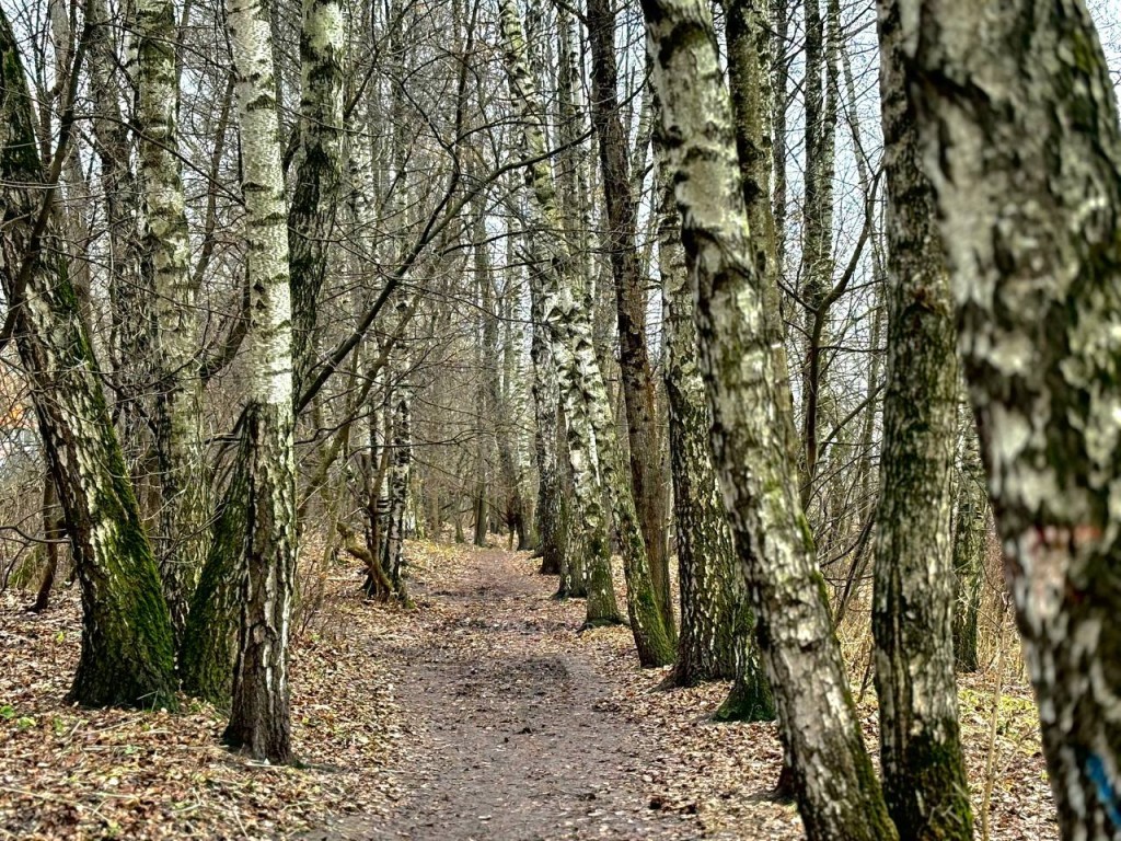 На выходных в Лыткарине прогнозируют теплую погоду и небольшой дождь