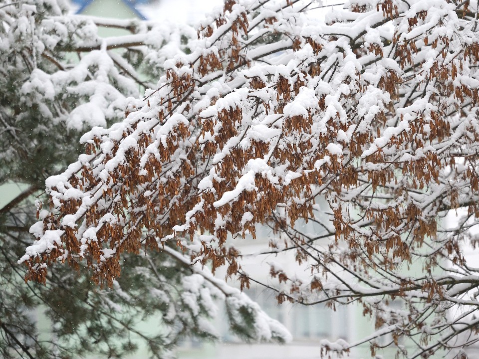 Теплое начало декабря в Подмосковье — закономерно! Синоптик Позднякова указала, как часто повторяется один и тот же погодный сценарий