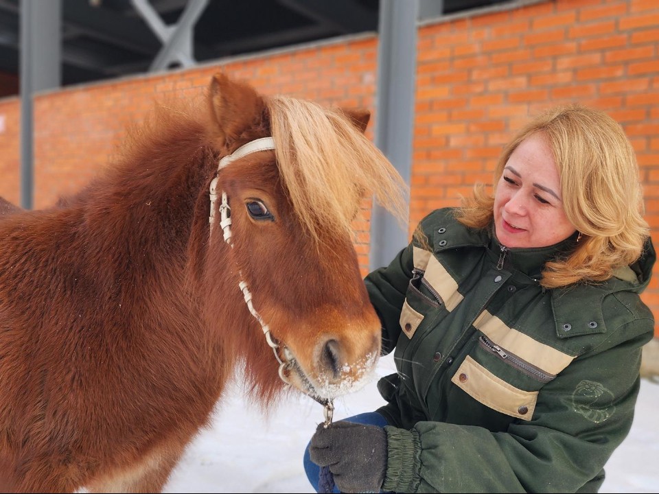 Увидеть мини-хорс и другие символы 2026 года можно на тематической экскурсии в Сычеве