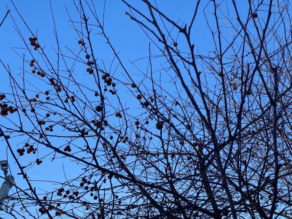 Синоптики спрогнозировали потепление до +3 градусов в четверг